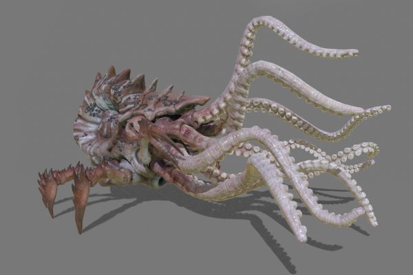 Kraken сайт tor